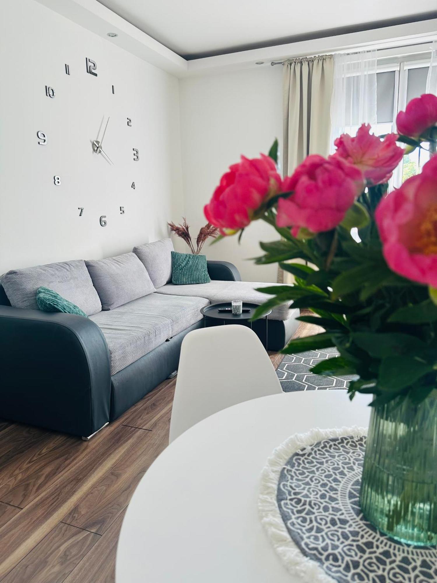 City Apartment Czestochowa Centrum 2-Bedroom Eksteriør bilde